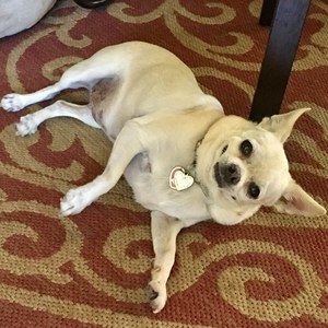 Meet your Posher, Sally